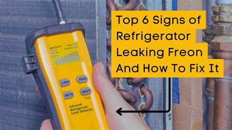 Freon Leak In Refrigerator How To Detect And Fix It 🛠 5 Star Appliance