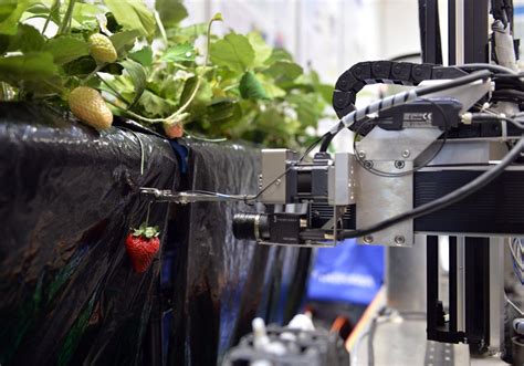 Why Robotics Will Change Agriculture