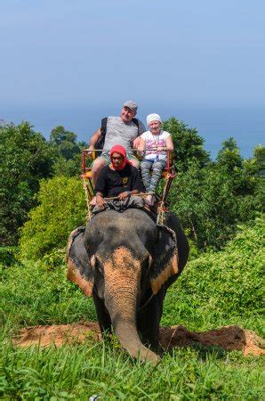 Koh chang tours & activities, elephant trekking, visiting ban kwan elephant trekking package. KokChang Safari Elephant Trekking - Kata Beach - Aktuelle ...