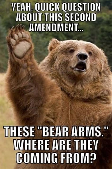 Funny Bear Quotes Meme Image 13 Quotesbae