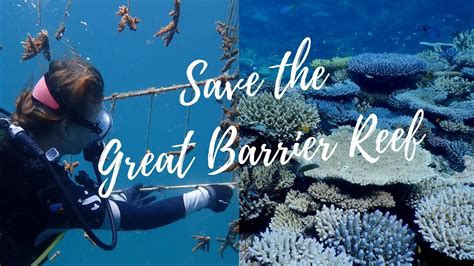 Save The Great Barrier Reef Reef Restoration Foundation Youtube