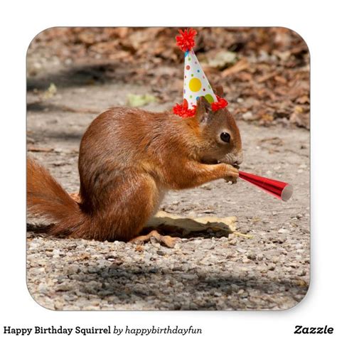 Happy Birthday Squirrel Square Sticker Happy Birthday