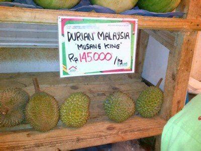 Durian musang king punya harga yang cukup mahal dibandingkan durian lain. Peluang Usaha 2014 | Bibit Durian, Jual bibit durian, Beli ...