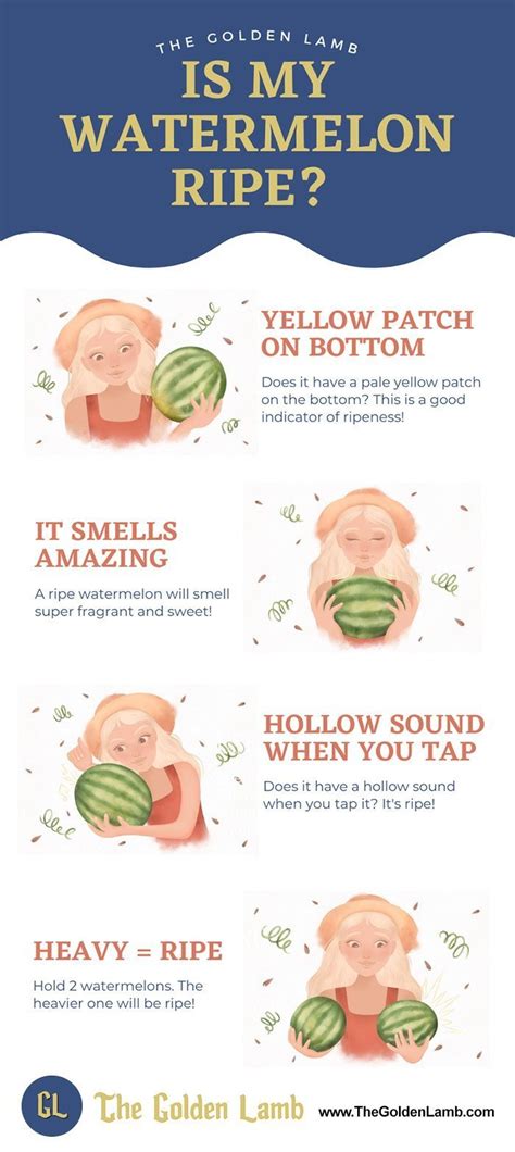 How To Pick A Ripe Watermelon 4 Foolproof Tips The Golden Lamb