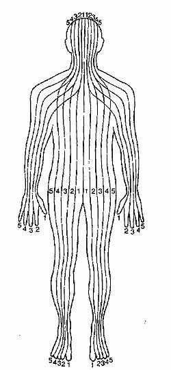 Meridians Of The Body Reflexology