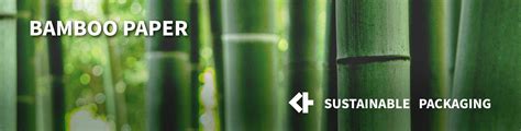 Bamboo Paper Sustainability The Uses And Benefits Of Bamboo