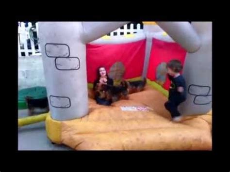 Bouncy Castle Fun Youtube