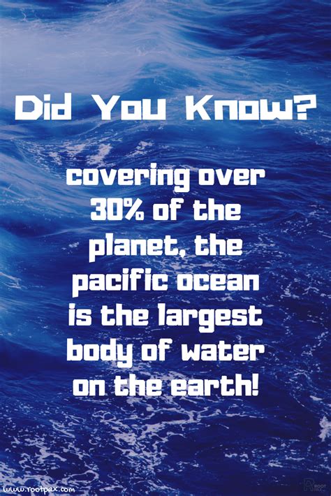 Fun Facts About The Sea