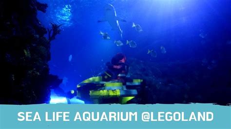 Sea Life Aquarium Legoland California Legoland Tour With Andrew
