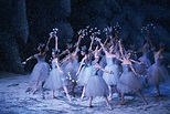 Discover the Many Roles in Tchaikovsky's "The Nutcracker"