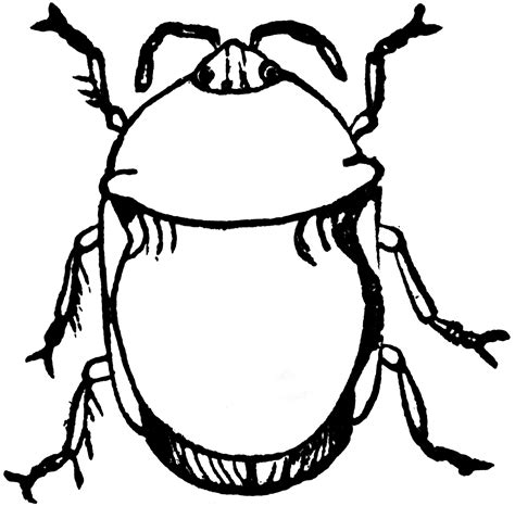 23 Clipart Insects And Bugs Free Coloring Pages