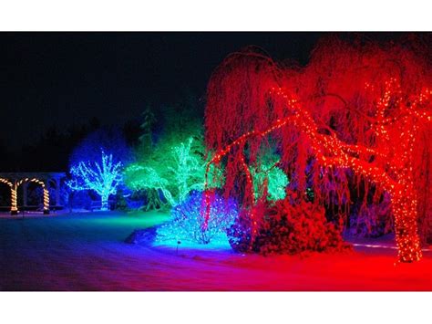 Botanical Garden Christmas Lights Hours Great Gardening Websites