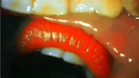 a kiss filmed from inside a mouth is totally effing gross looking