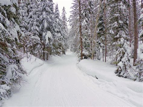 Snowmobile Trails At Your Fingertips With The Ofsc Online Guide