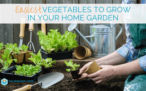 Easiest Vegetables To Grow In Your Home Garden