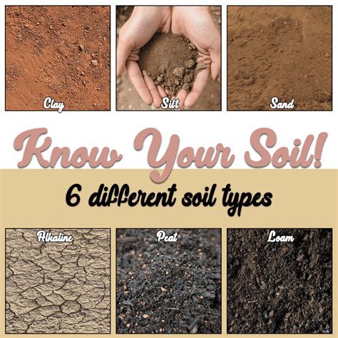 6 Types Of Soil