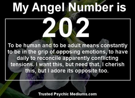 Angel Number 202 Means That Love Is In The Air Discover Why