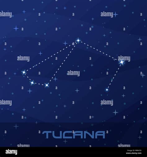 Constellation Tucana Toucan Night Star Sky Stock Vector Image And Art