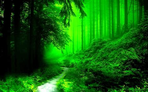 Beautiful Green Wallpapers Top Free Beautiful Green Backgrounds