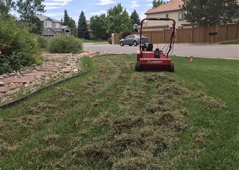 Power Raking Services Colorado Lawn Specialists