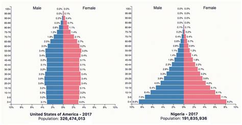 Animation Population Pyramids Of The 10 Most Populous Countries