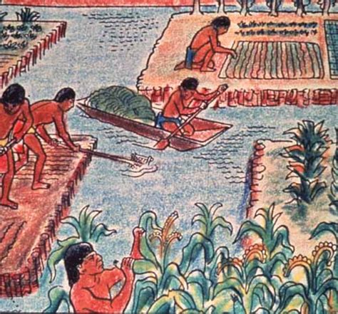 Agricultura En La época Prehispánica Indice Político Noticias