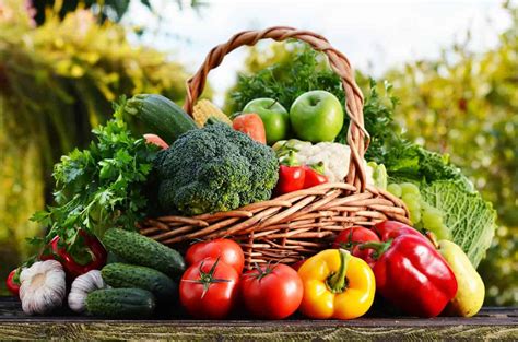 Sayur Sayuran Dalam Kumpulan Makanan Ceriasihat