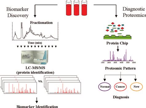 Two Commonly Used Ms Based Methods For Identification Based Biomarker