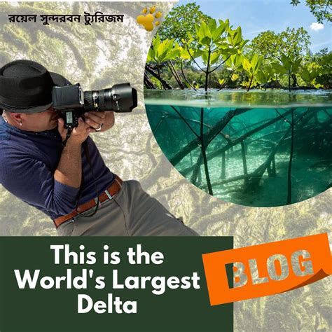 This Is The Worlds Largest Delta Great Sundarban Royal Sundarban