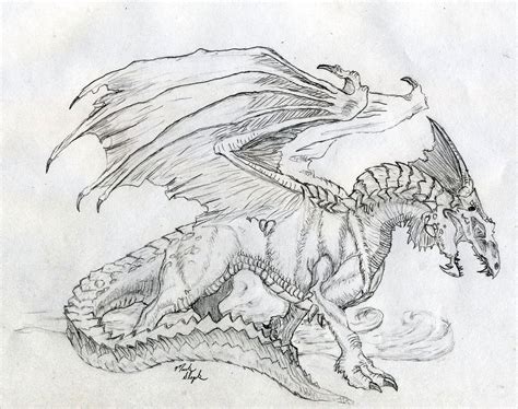 Realistic Drawings Of Dragons Realistic Dragon Drawing By