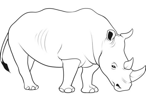 Desenhos De Rinocerontes Para Imprimir E Colorir Animais Para Colorir