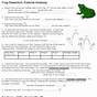 Biology Frog Dissection Worksheet Answers