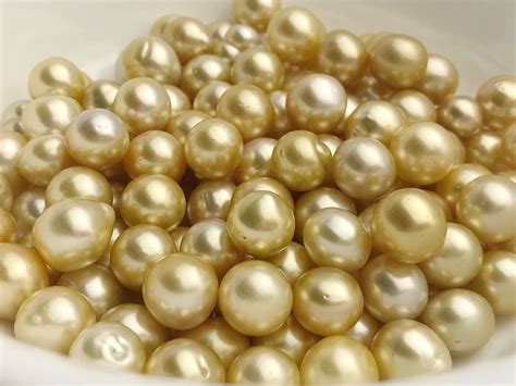 Golden South Sea Loose Pearls Ovals Drops 10mm 12mm Aa Quality