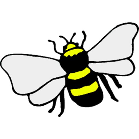 Bee PNG for SVG file | Cricut / SVG / Bee - Bee Hive | Pinterest | Bees