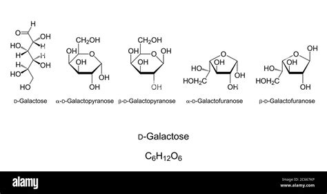 Galactose Chemical Structure