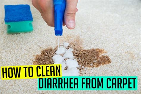 How To Get Rid Of Dog Diarrhea On Carpet