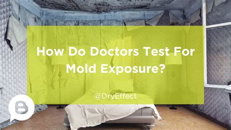 Secrets Exposed How To Test For Mold Exposure In Your Blood