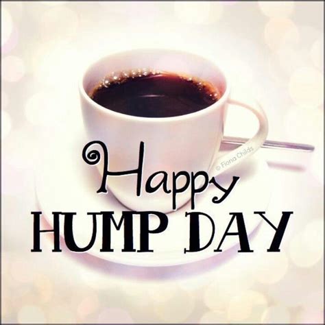 Happy Hump Day Pictures Photos And Images For Facebook Tumblr Pinterest And Twitter