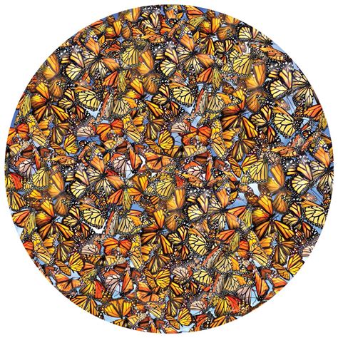 High quality hd laser printing and precise stamping technology guarantee a high quality product. Monarch Frenzy 1000 Piece Round Jigsaw Puzzle | Spilsbury