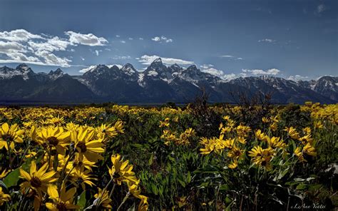High Quality Photo Of Rocky Mountains Desktop Wallpaper