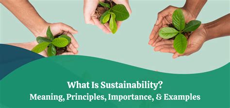 What Is Sustainability Meaning Principles Importance And Examples