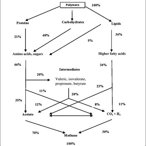 An Overview Of Municipal Solid Waste Management Download Scientific