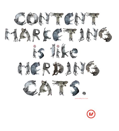 Content Marketing Is Like Herding Cats Cat Safe Plants Serval Cats