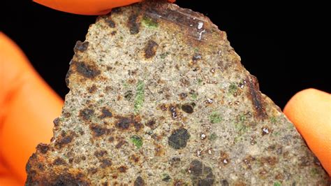 Meteorite Nwa 8251 Primitive Achondrite Lodranite 1193 Gram Youtube