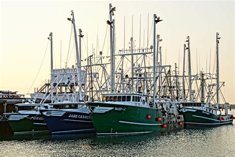 Idled Commercial Fishing Fleet In Cape May Nj Tim Hetrick Flickr