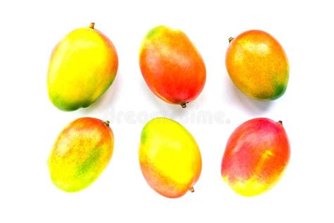 Six Fresh Ripe Yellow Red Green Mango Fruits Isolated On White