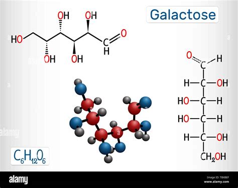 Galactose Structure Diagram