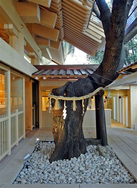 Atsuta Shrine Sacred Tree A Photo On Flickriver