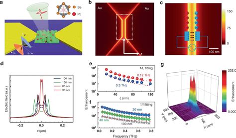 Topological Semimetal Based Photodetector For High Speed And Low Energy