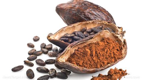 Stressed Out Cacao Trees Produce More Nutritionally Potent Chocolate